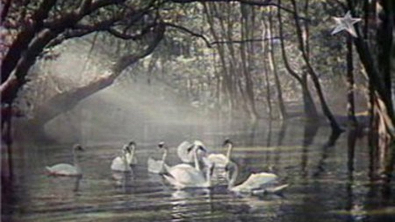 An Extraordinary Story Like a Fairy Tale backdrop