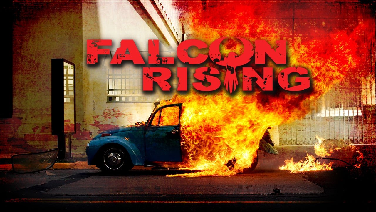 Falcon Rising