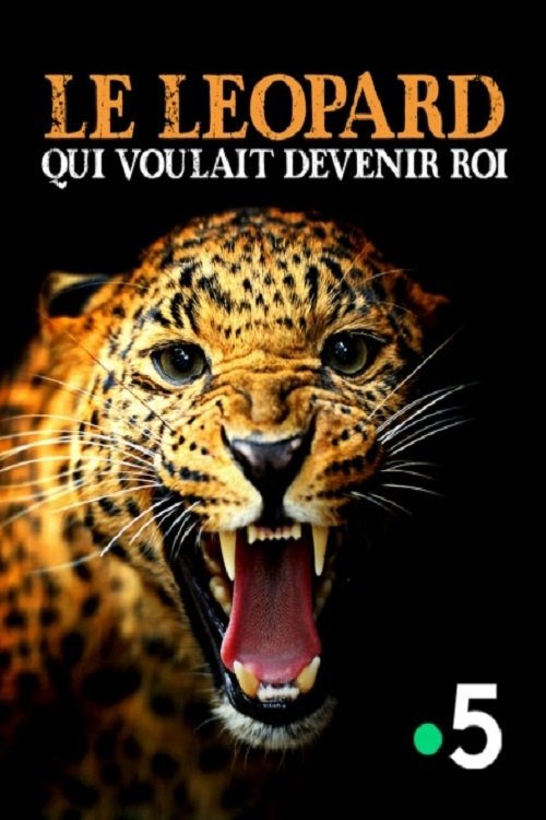 Content cover