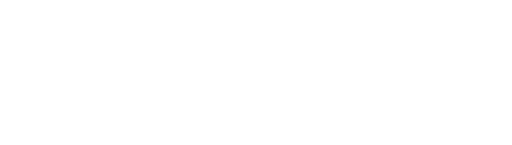 Indiscreet Logo