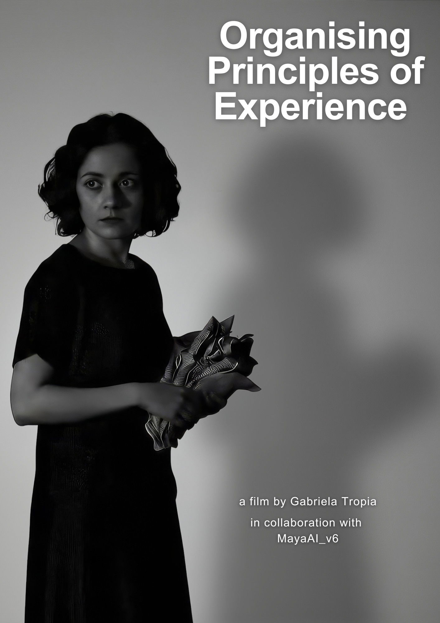 Organising Principles of Experience