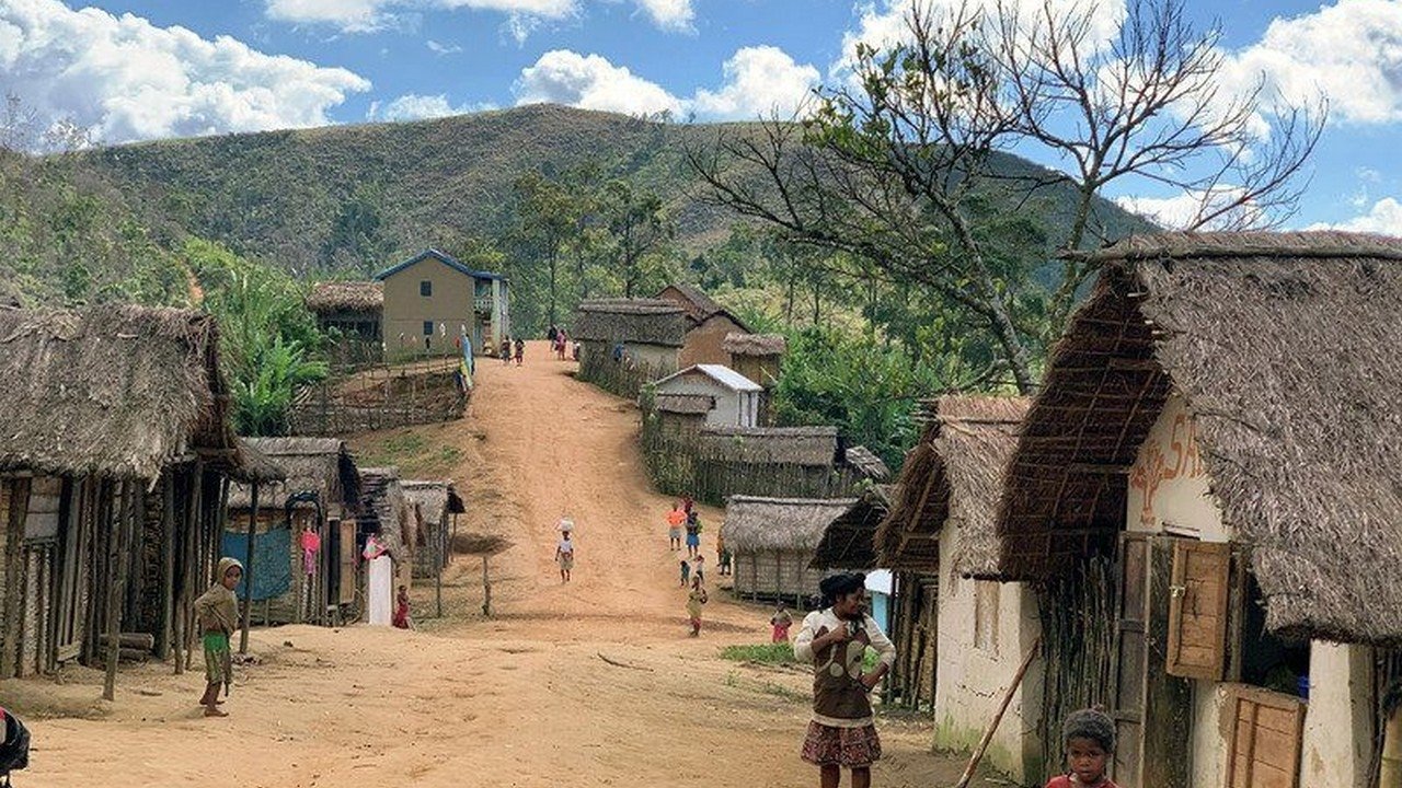 Madagascar, l'île rouge : Le royaume des lémurs catta (2020)