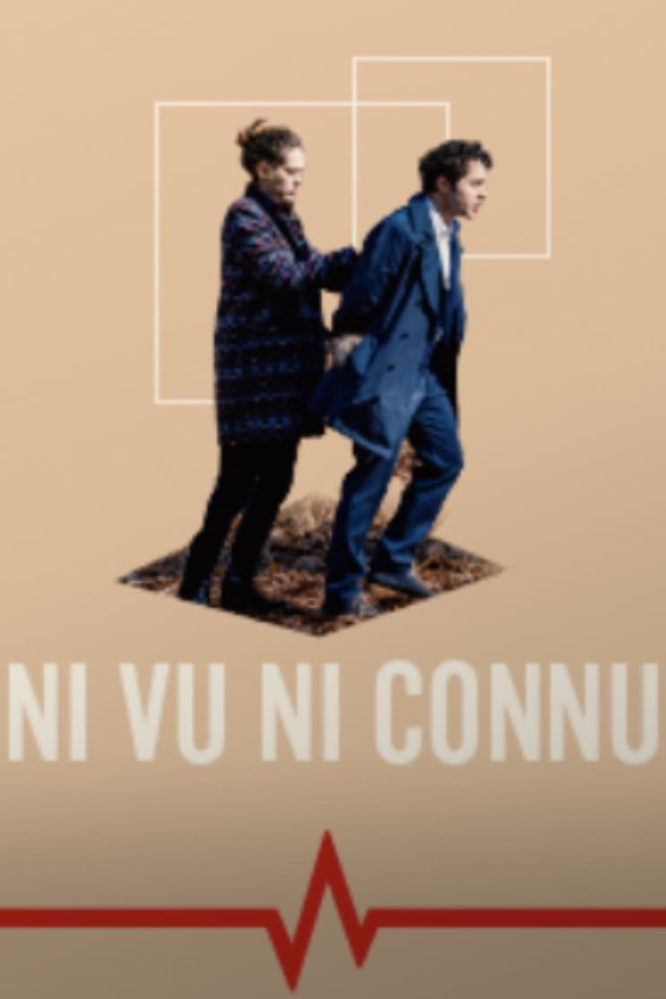 Affiche du film Ni vu ni connu 170187