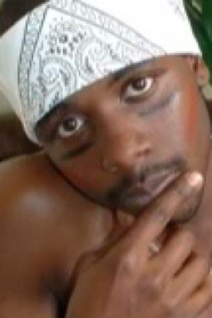 et billede af Black Tiger