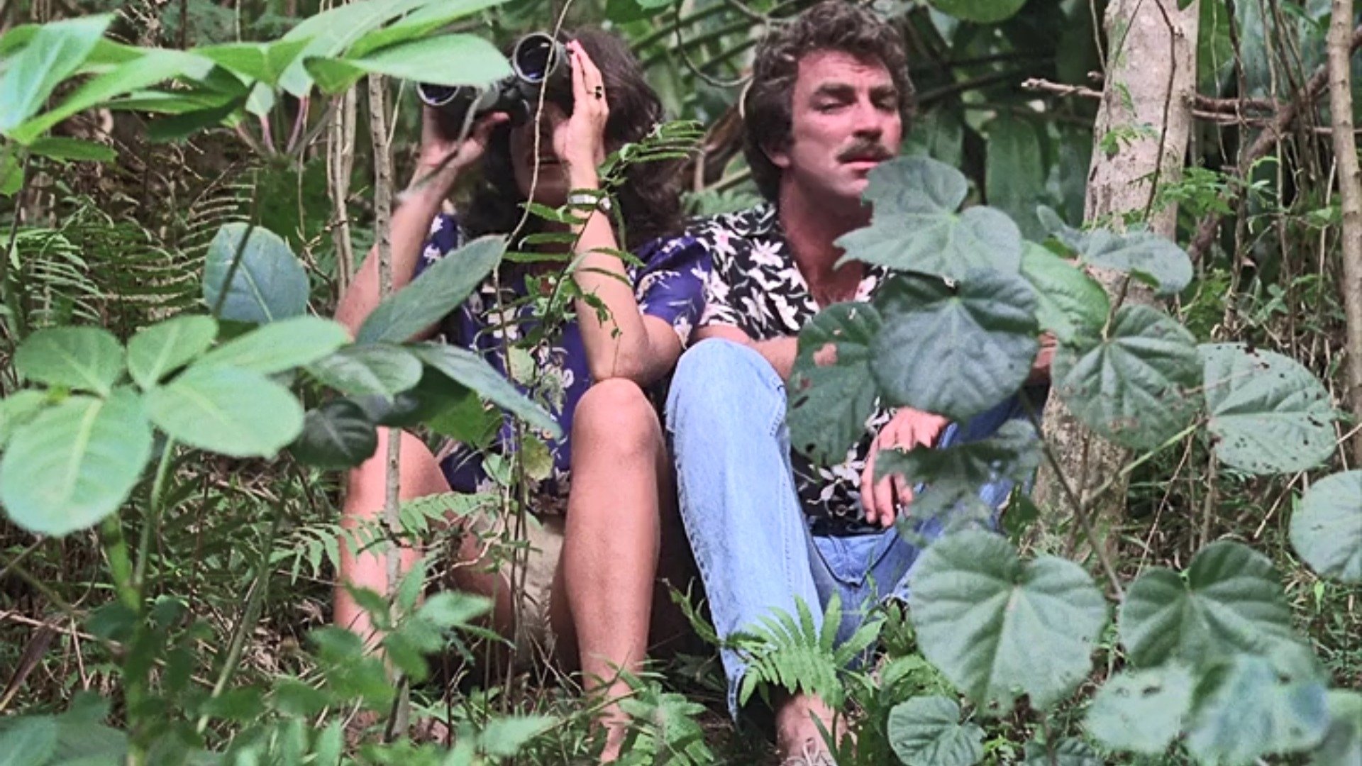 Magnum, P.I.
