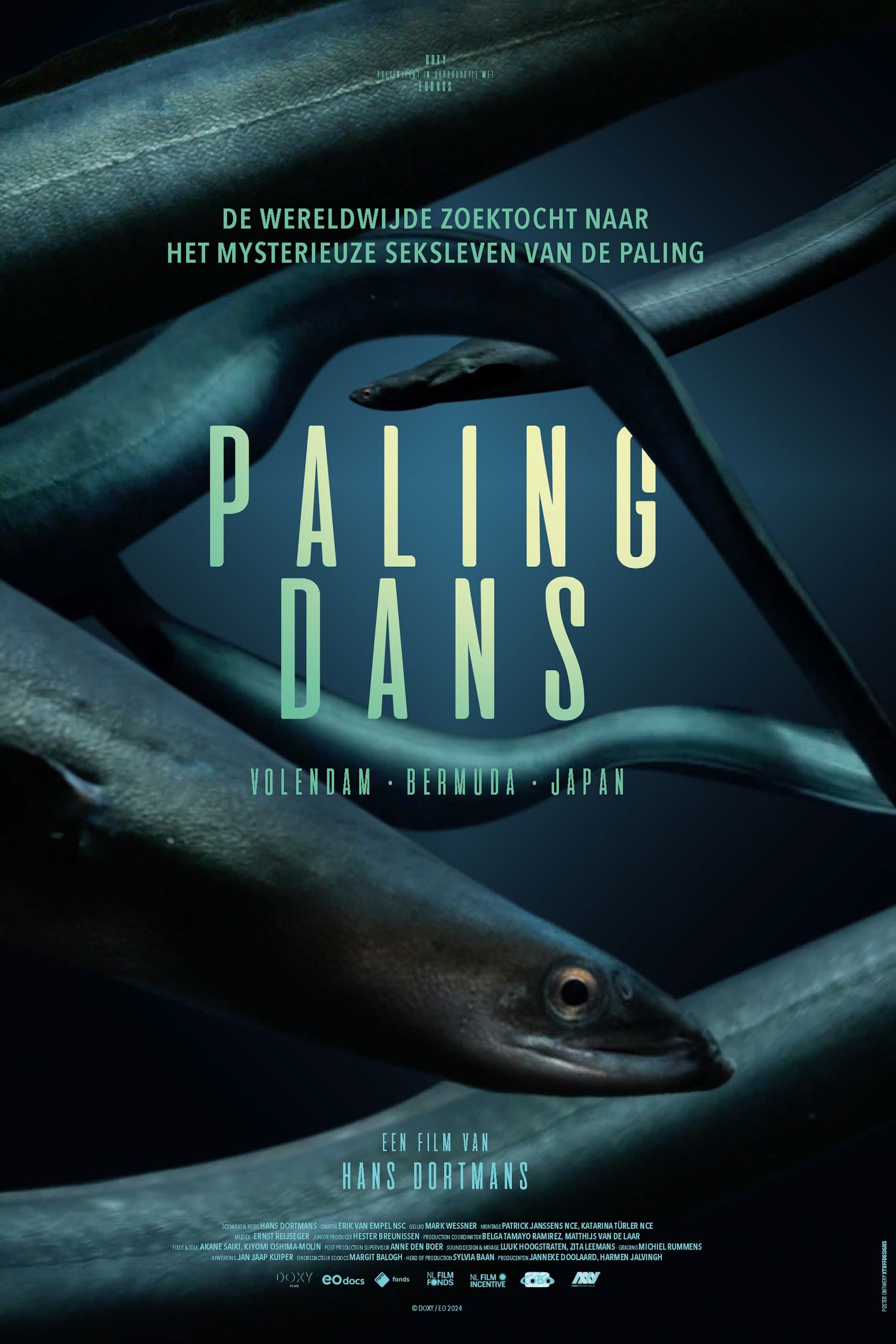 Hidden Dance of Eels