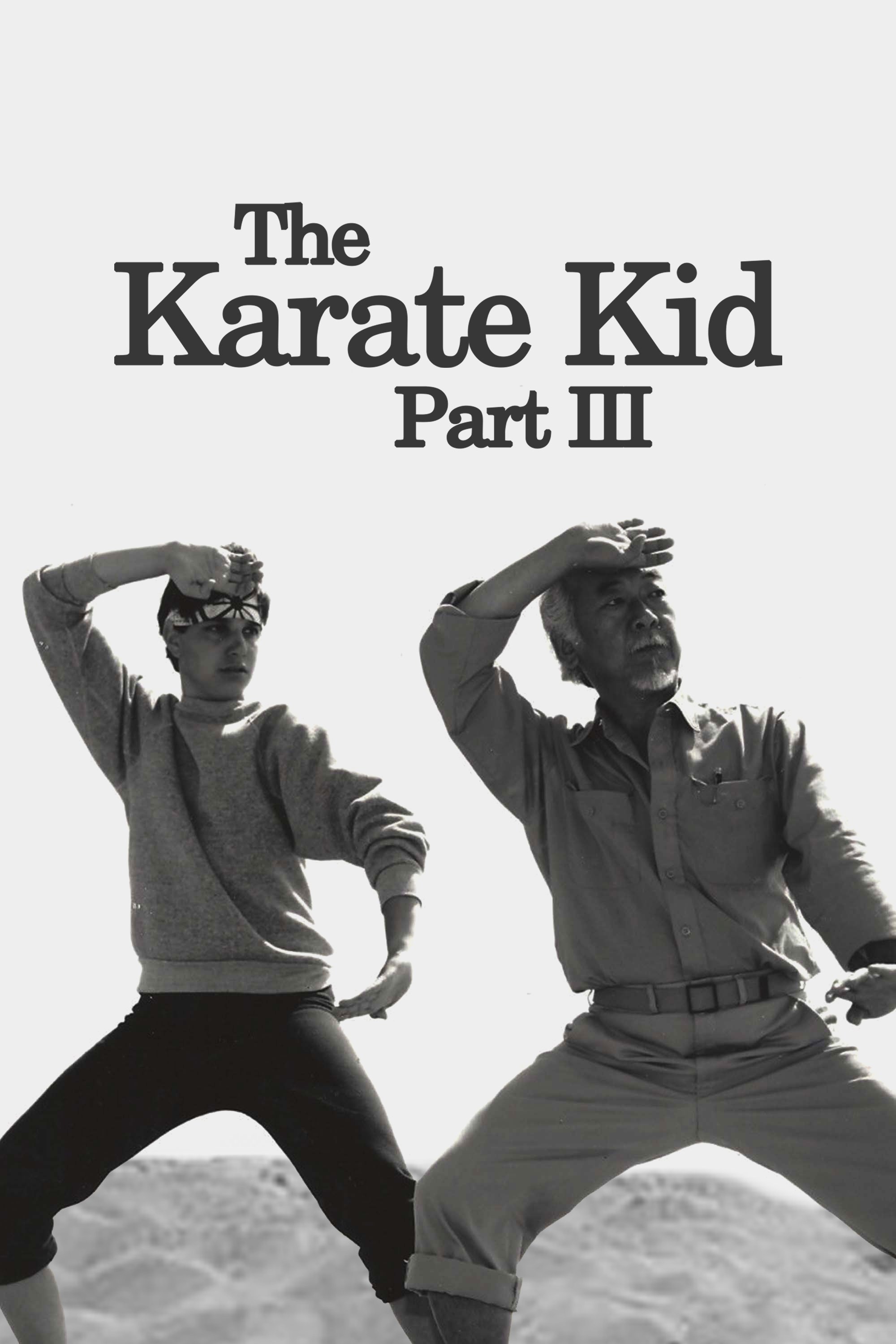 Descargar El Karate Kid 3 (1989) HD 1080p Latino CinemaniaHD