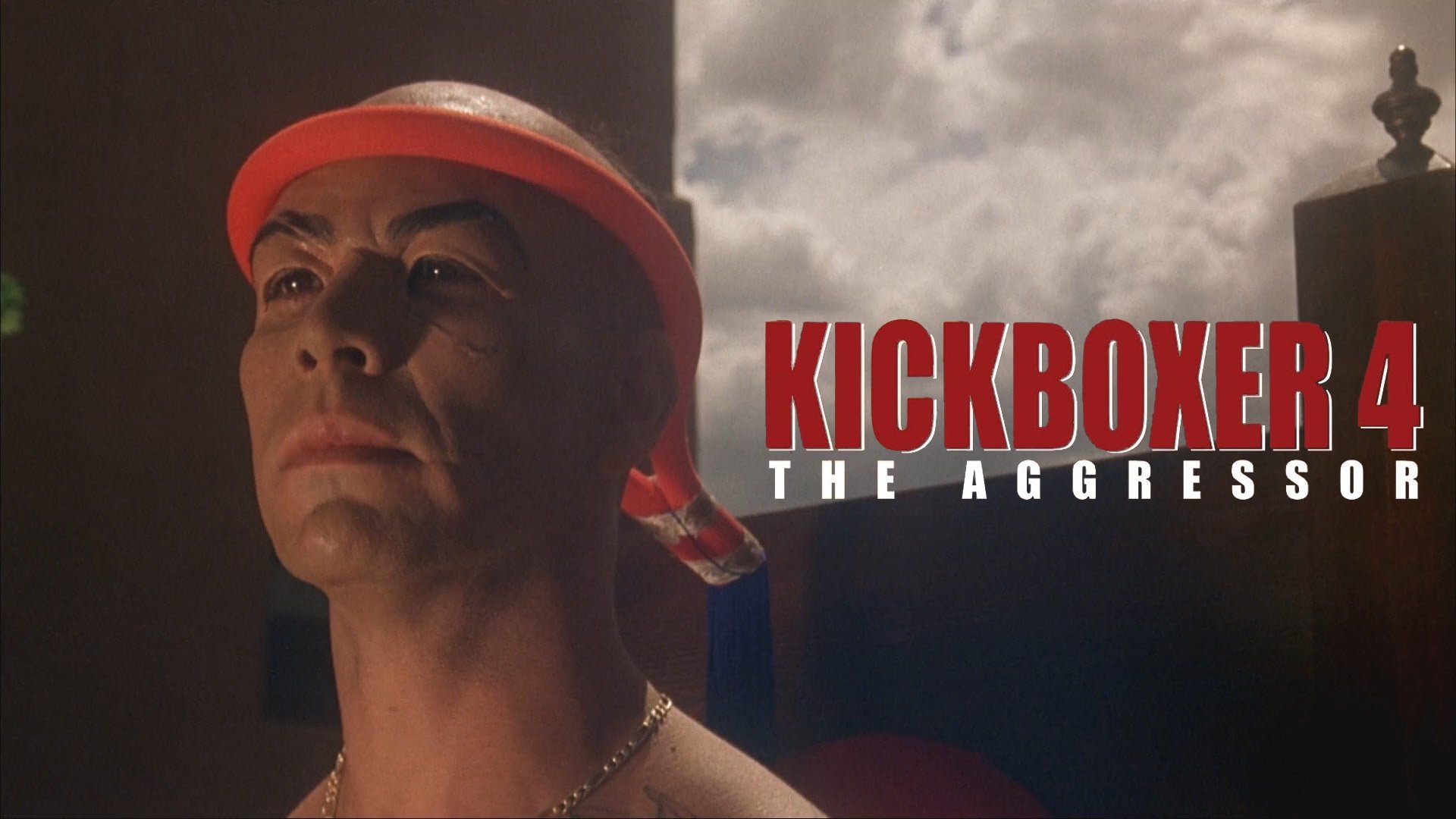 Kickboxer 4: The Aggressor