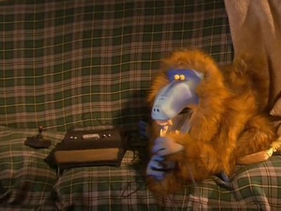 Mr. Meaty