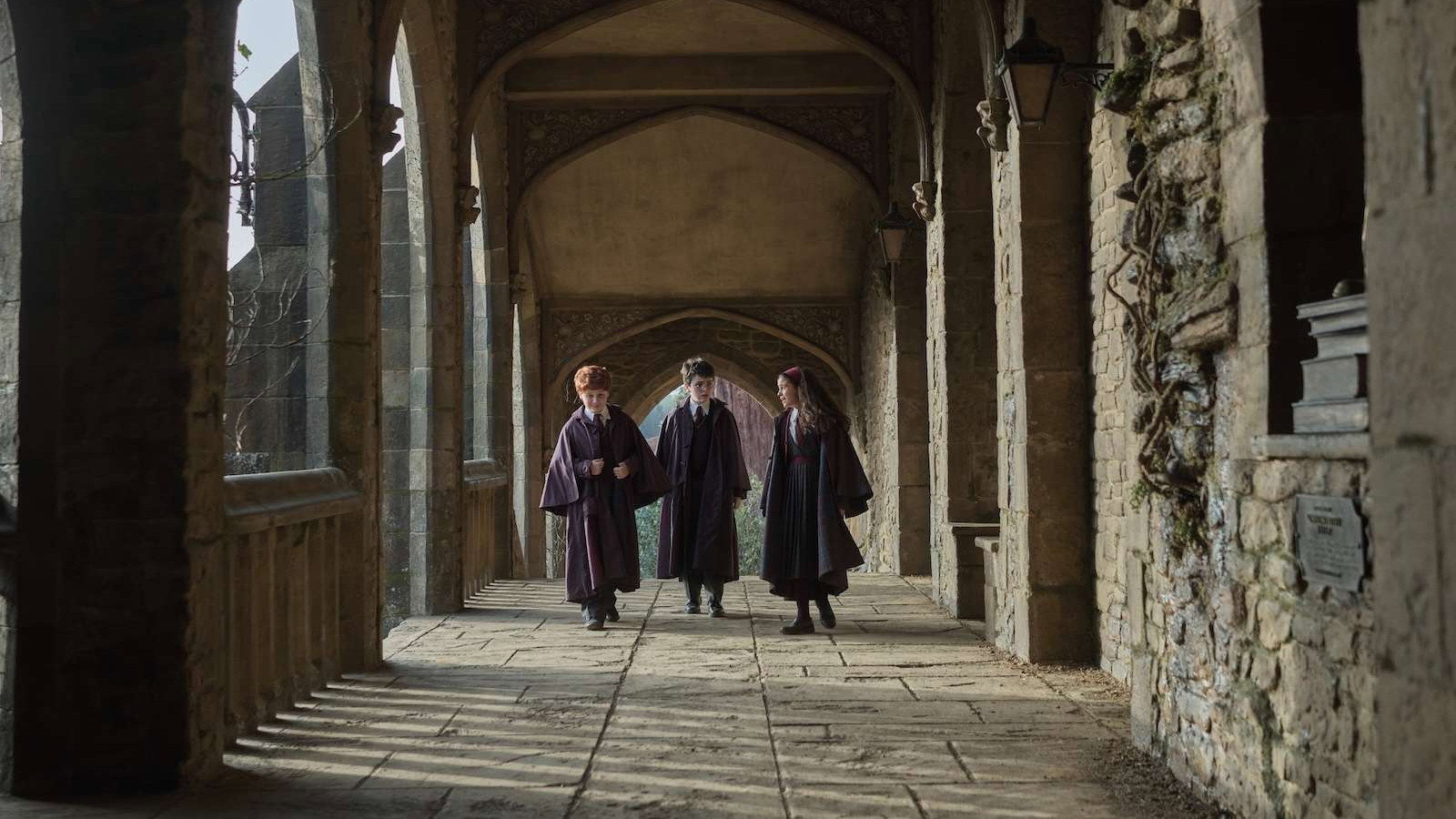 Harry Potter backdrop