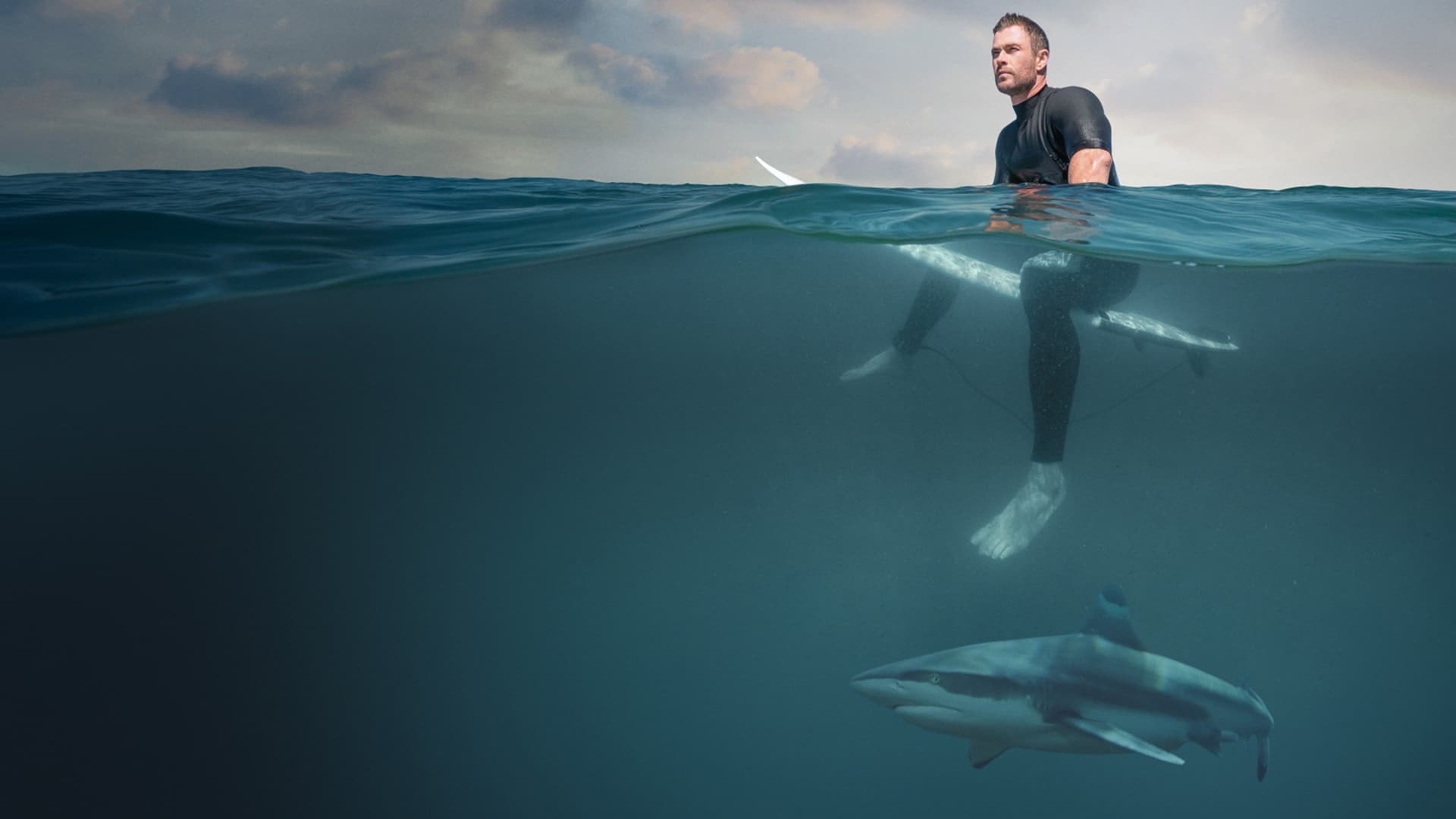 Chris Hemsworth à la rencontre des requins