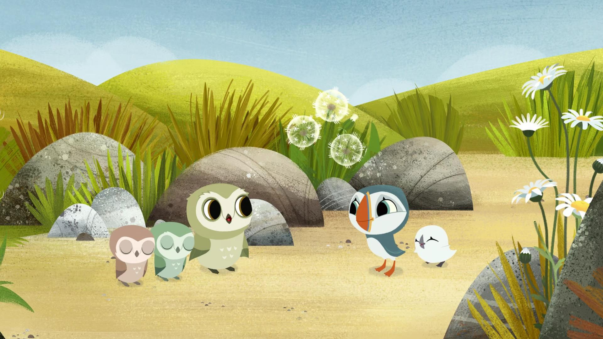 Puffin Rock