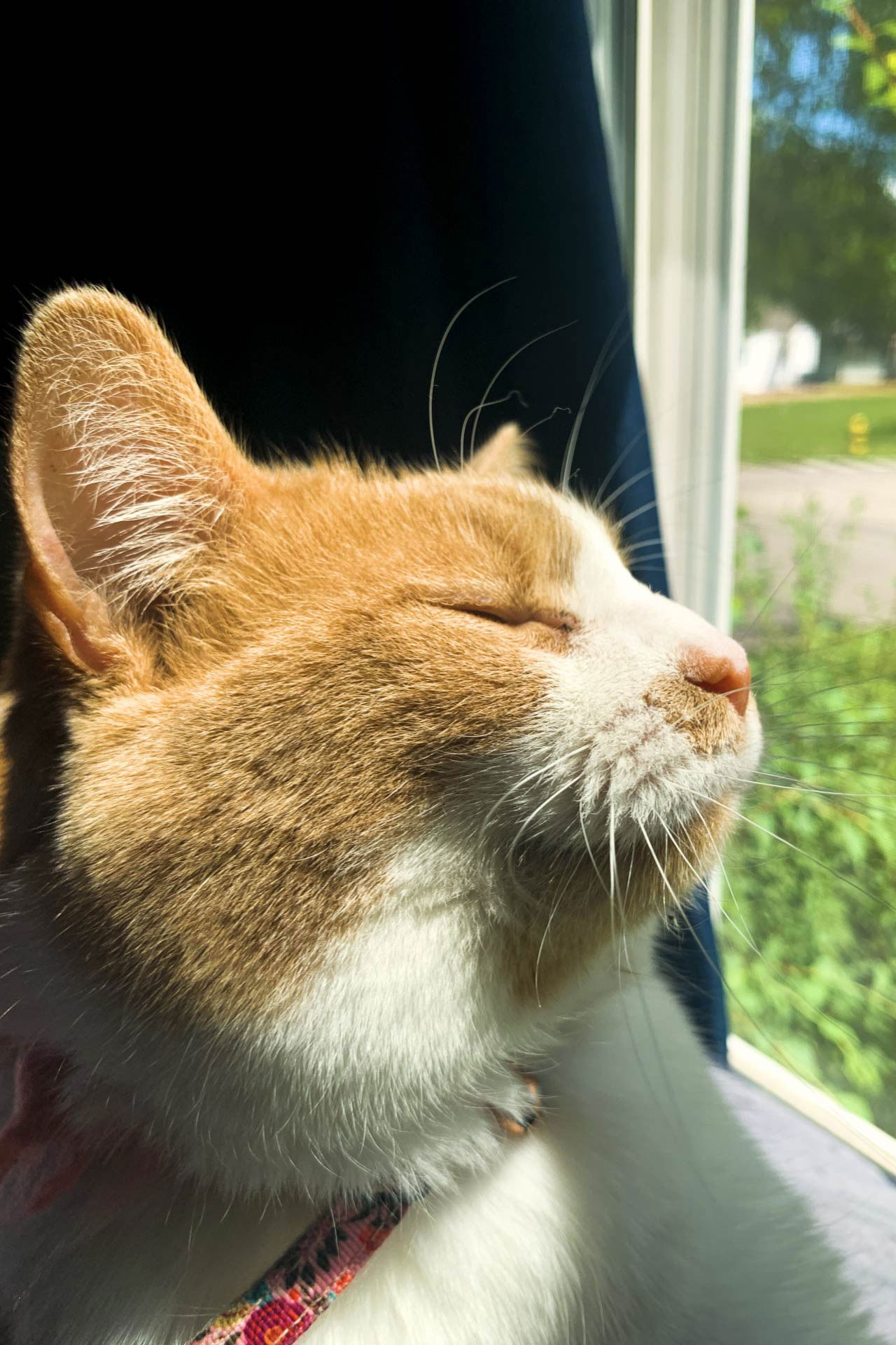 et billede af Cheyenne Childers