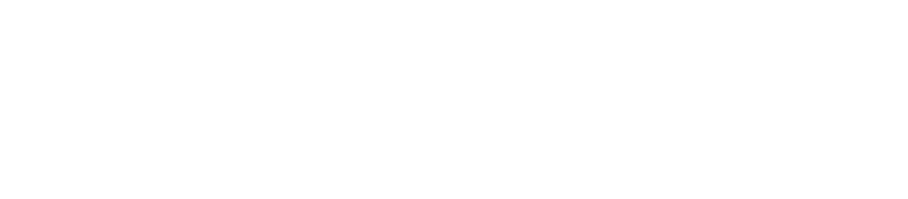 Bones Brigade: An Autobiography Logo