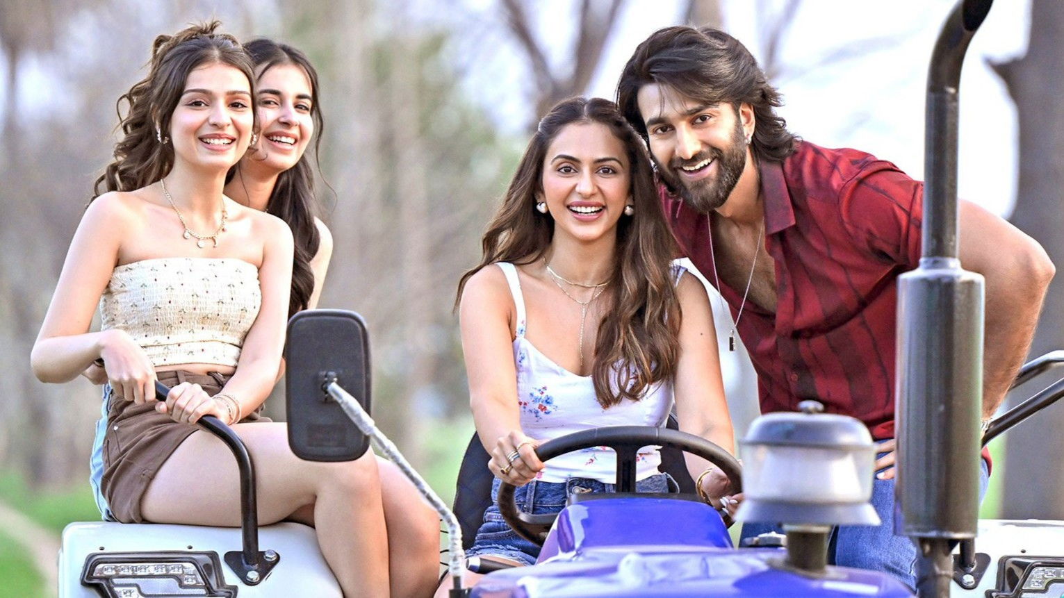 De De Pyaar De 2 backdrop