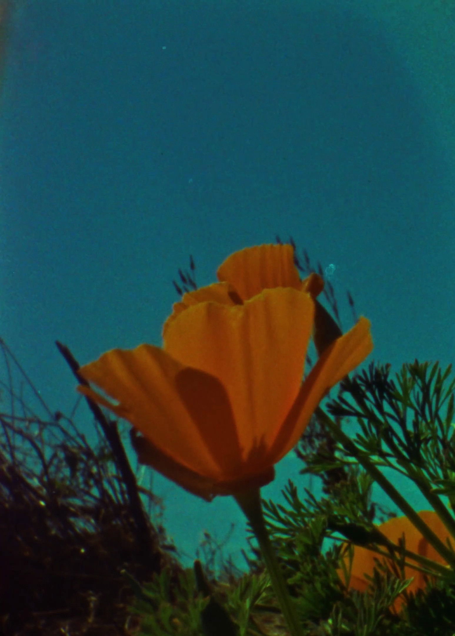 In the Maritime Frequencies