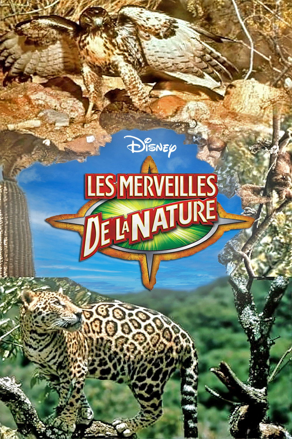Les Merveilles De La Nature