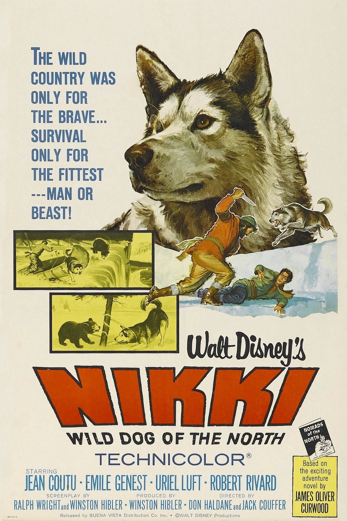 Nikki, Wild Dog of the North