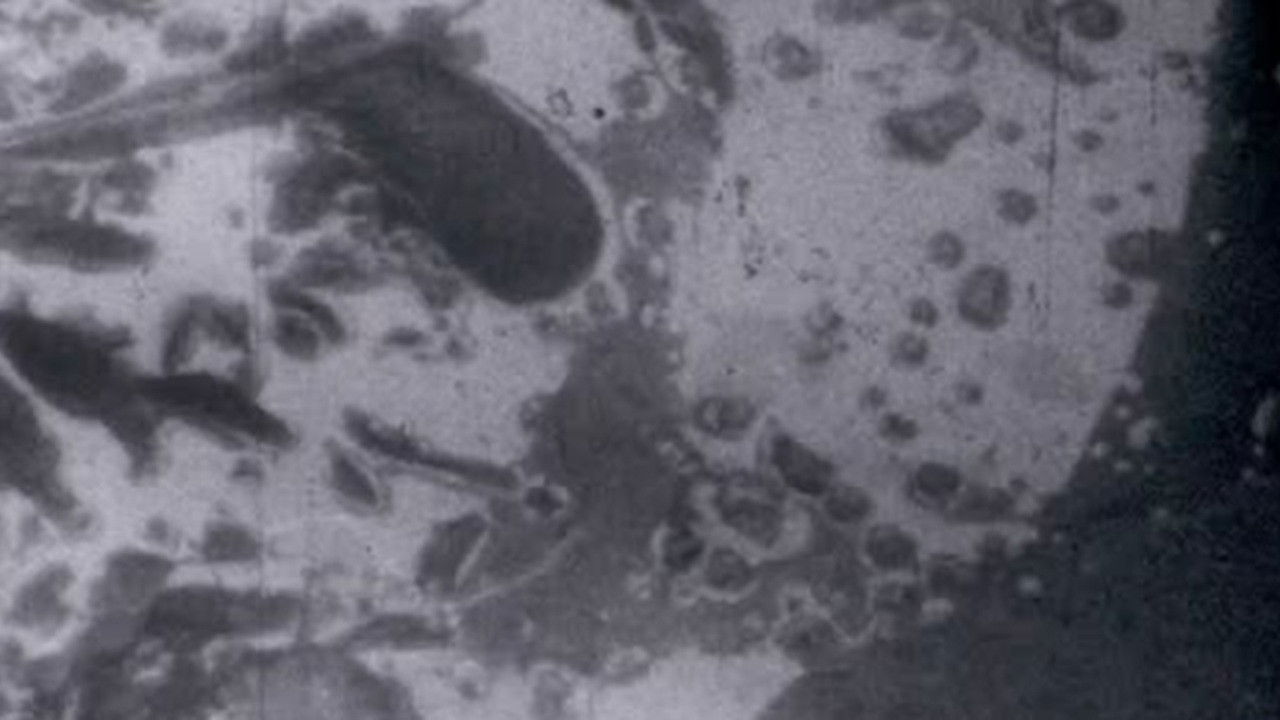 Imagem do Filme Aquí