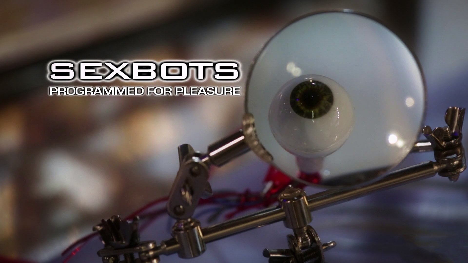 Sexbots