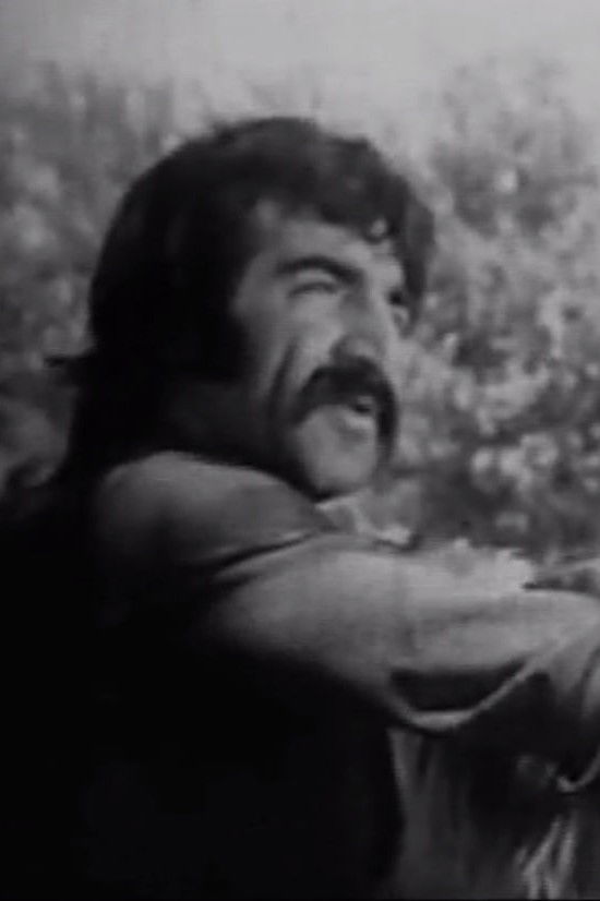 et billede af Poulad