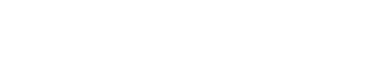 Christmas Wedding Planner