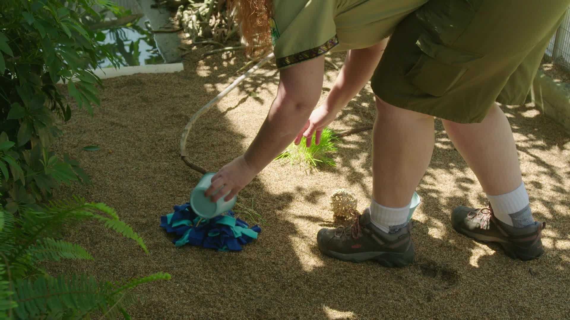 Episode 10