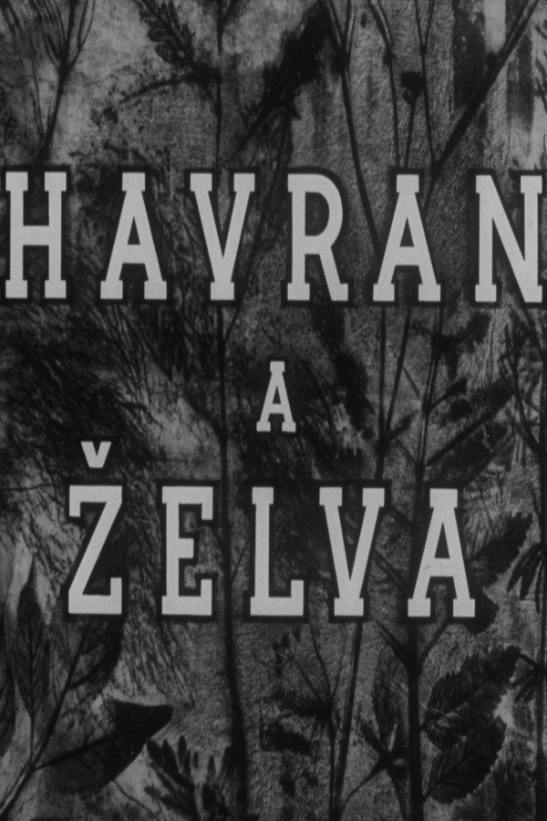 Havran a želva Poster