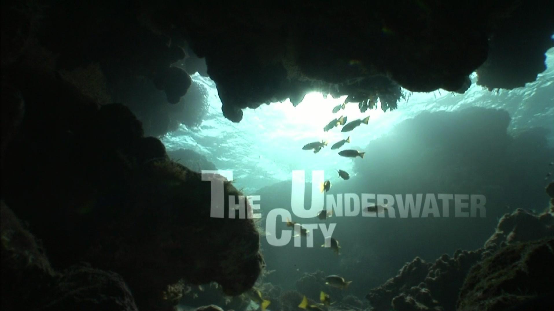 Thumbnail for Underwater City Season 1 Episode 21