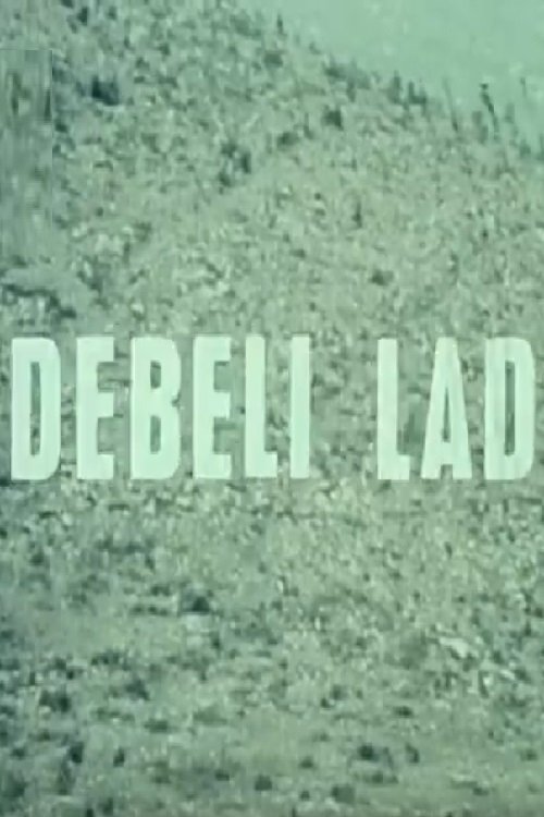Debeli lad