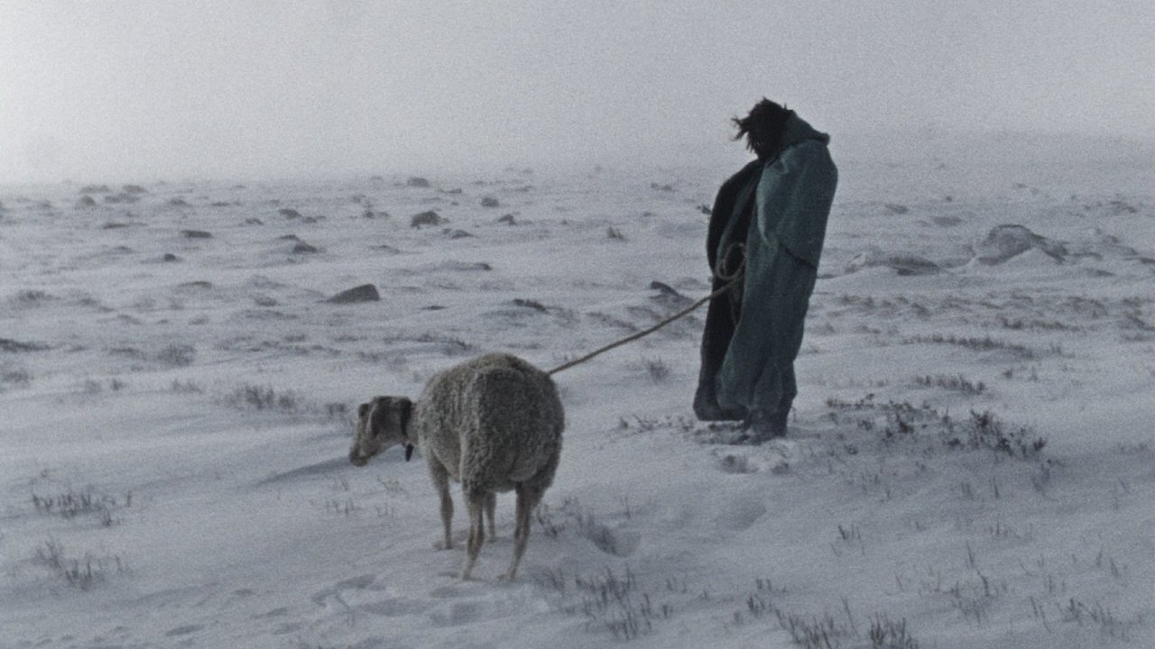 For the Lost (2014)