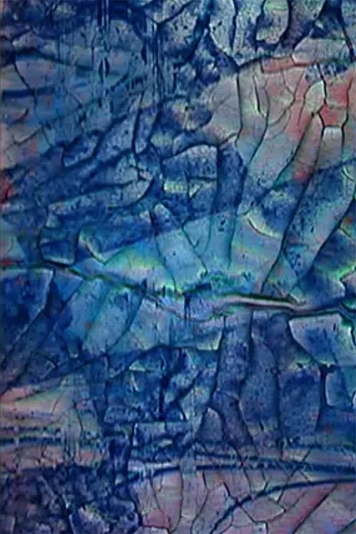 Content cover