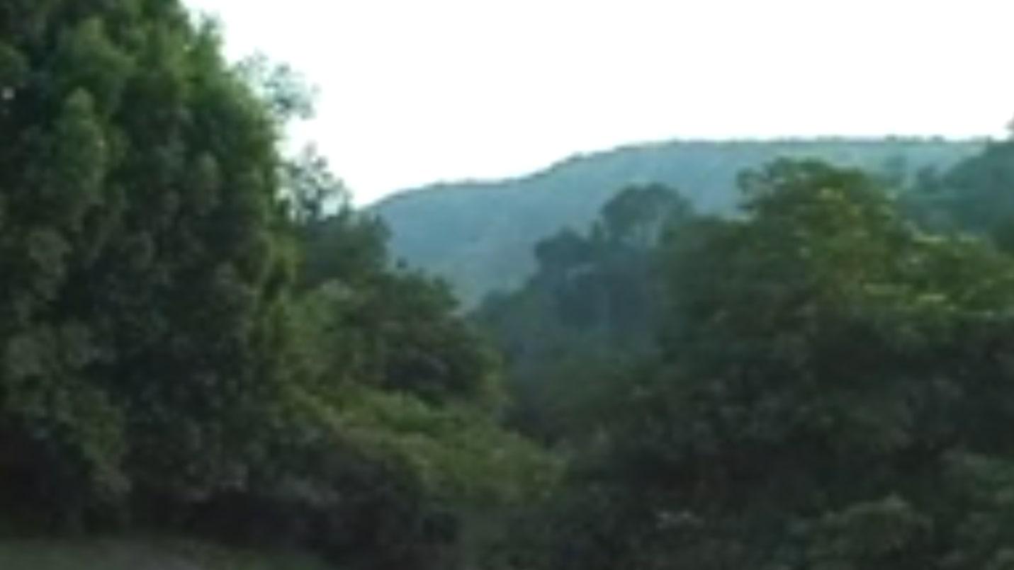 Imagem do Filme Sunset #1
