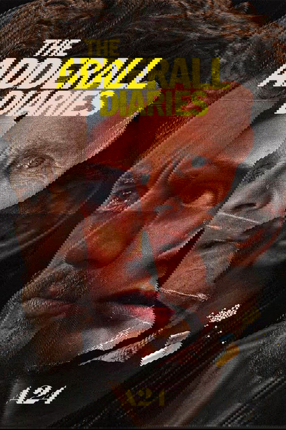 The Adderall Diaries