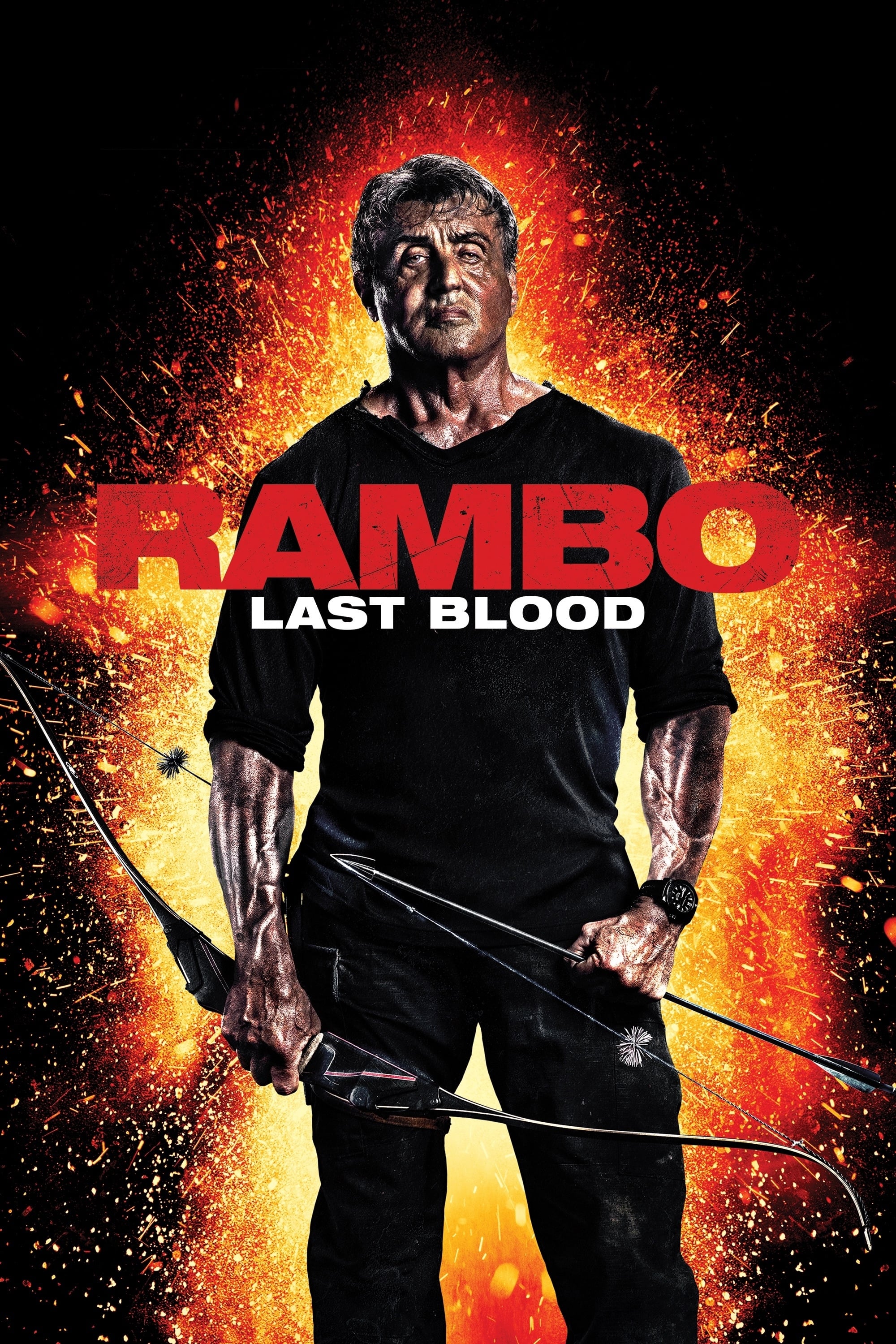 Rambo: Last Blood (2019) - Posters — The Movie Database (TMDb)