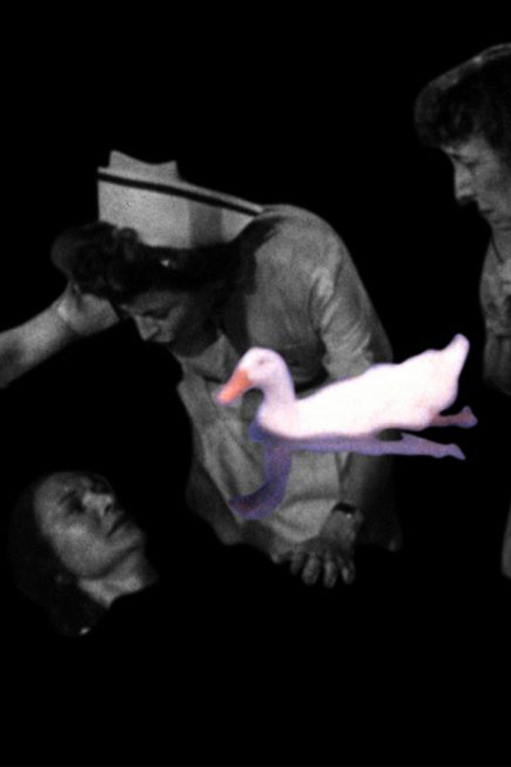 Actual Case History Poster