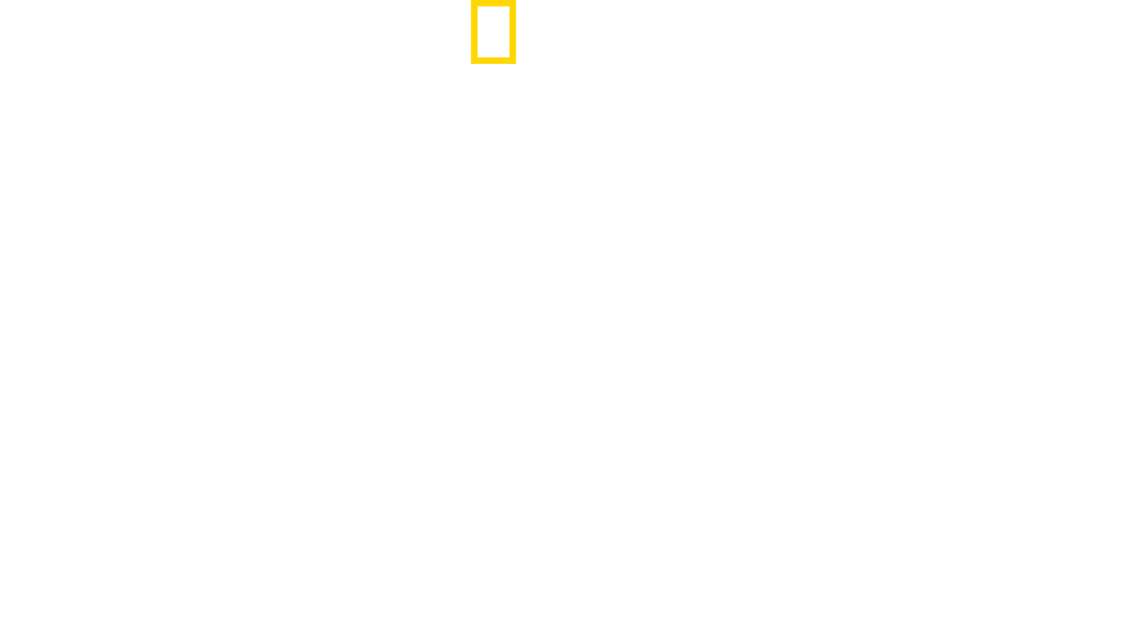 Port Protection Alaska Logo