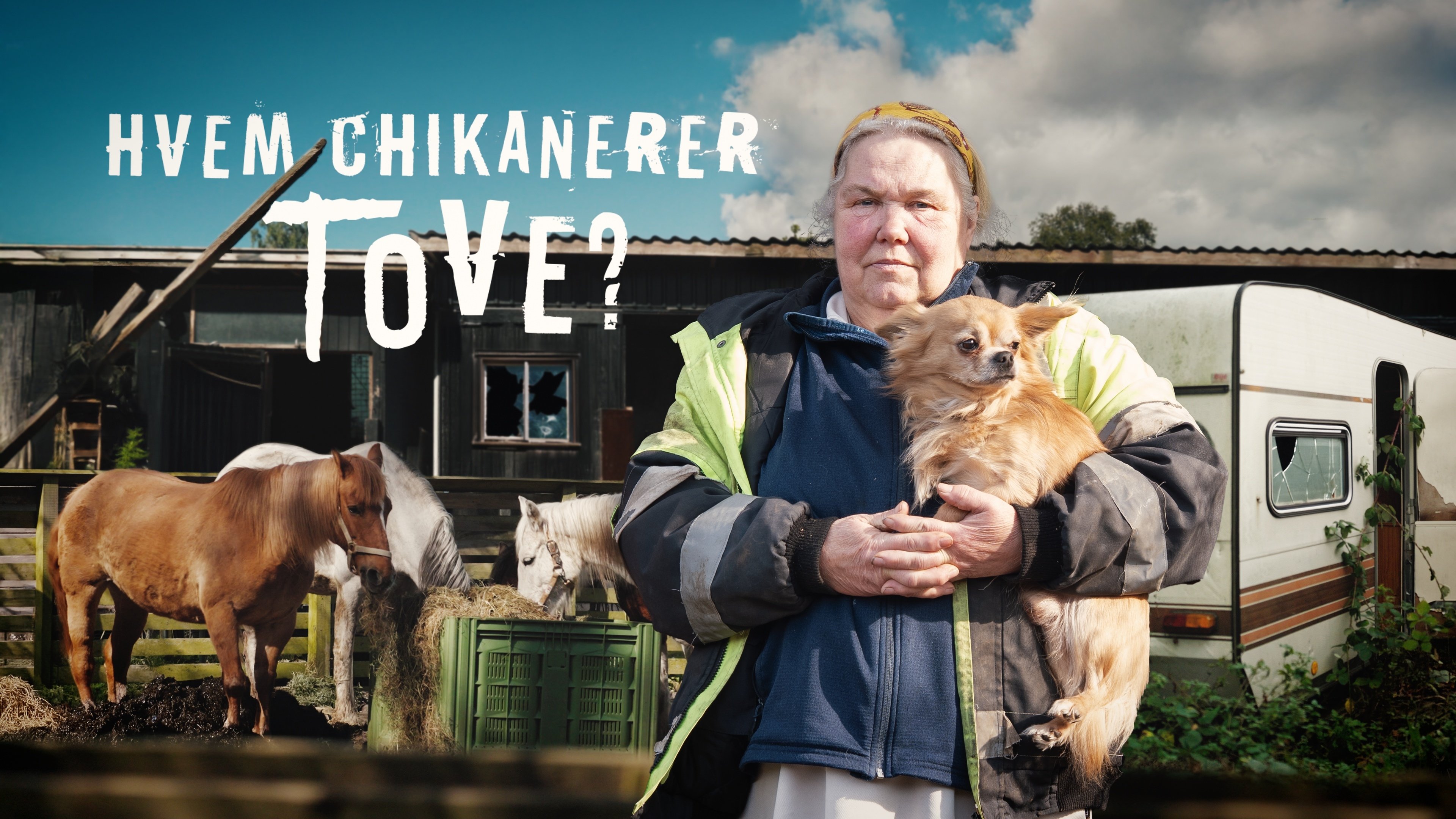 Hvem chikanerer Tove?