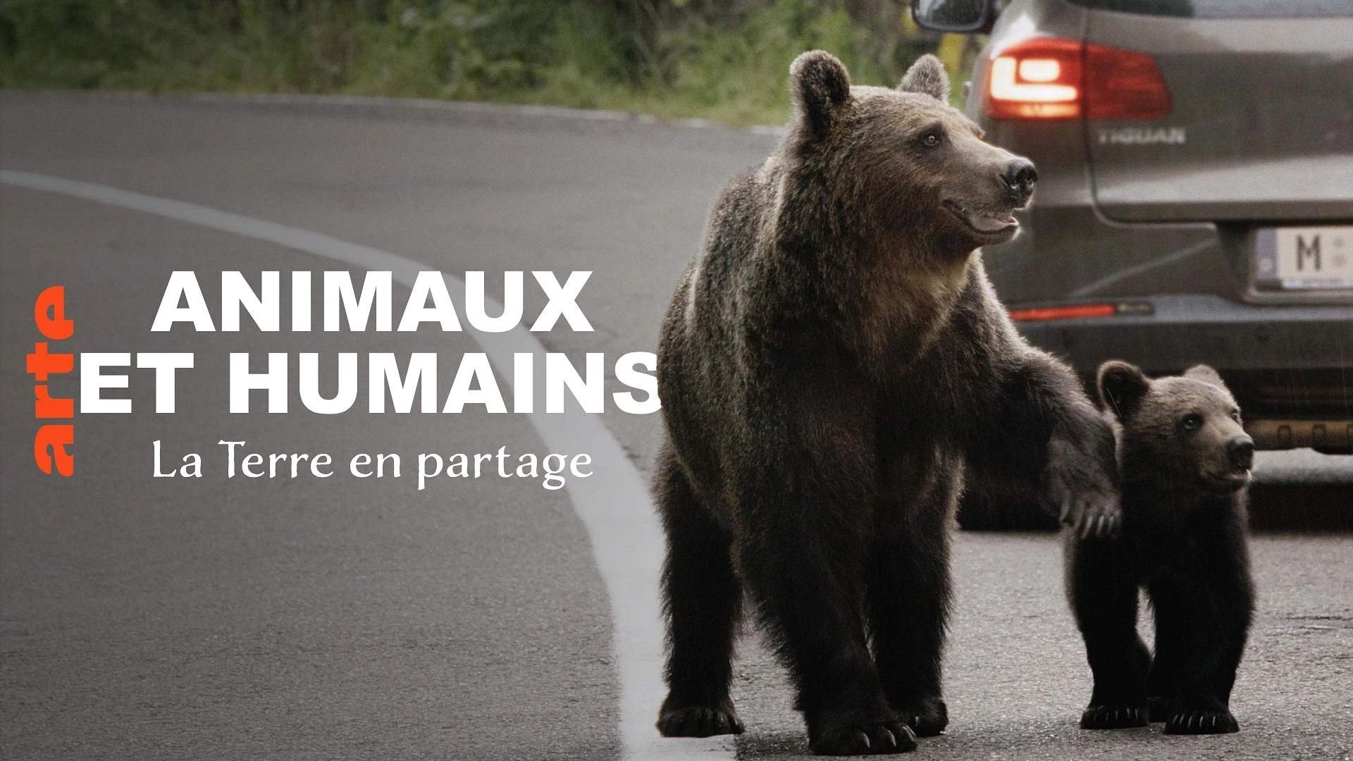 Animaux et humains, la Terre en partage
