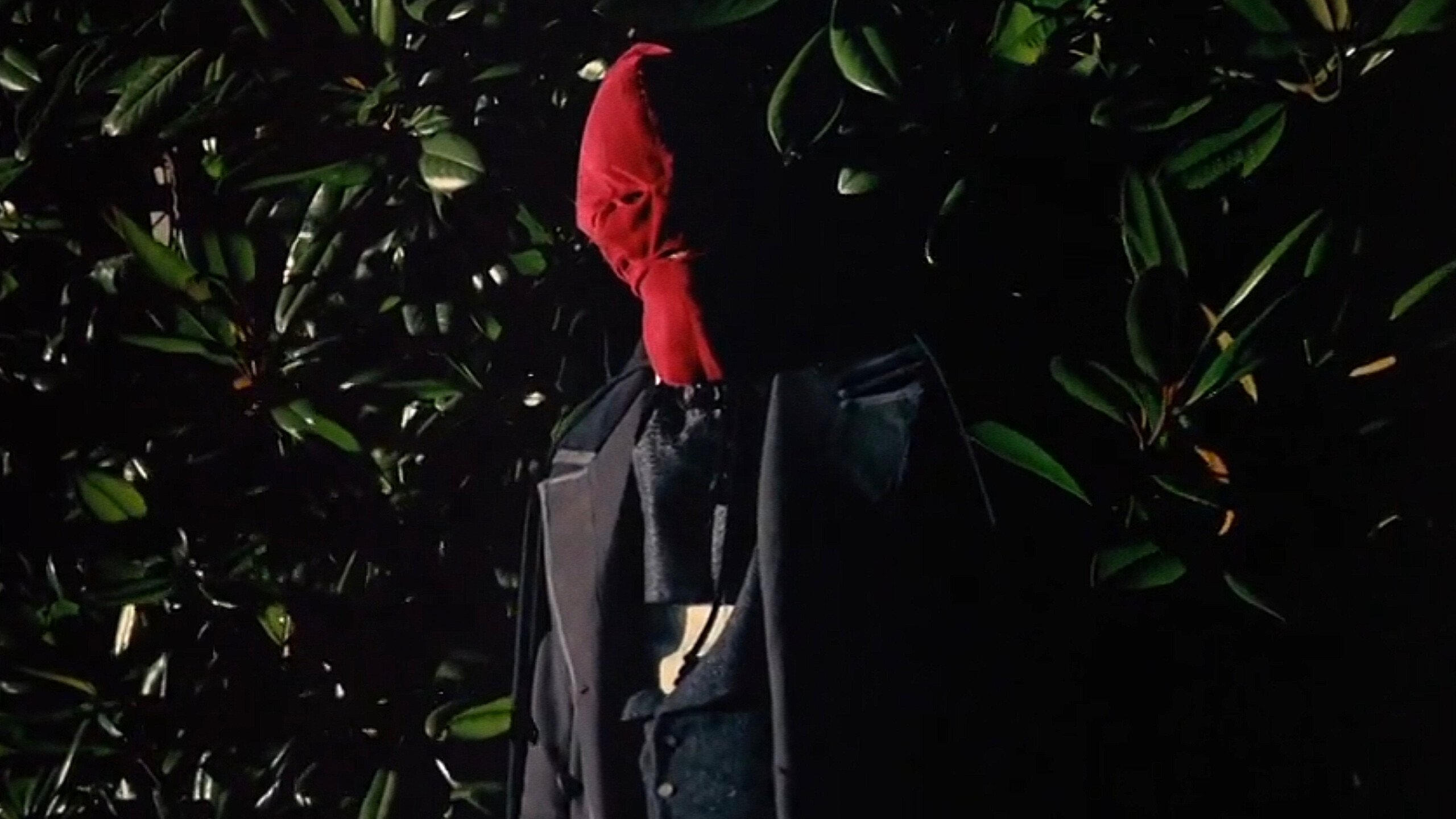 El ataúd (La caja oblonga) (1969)