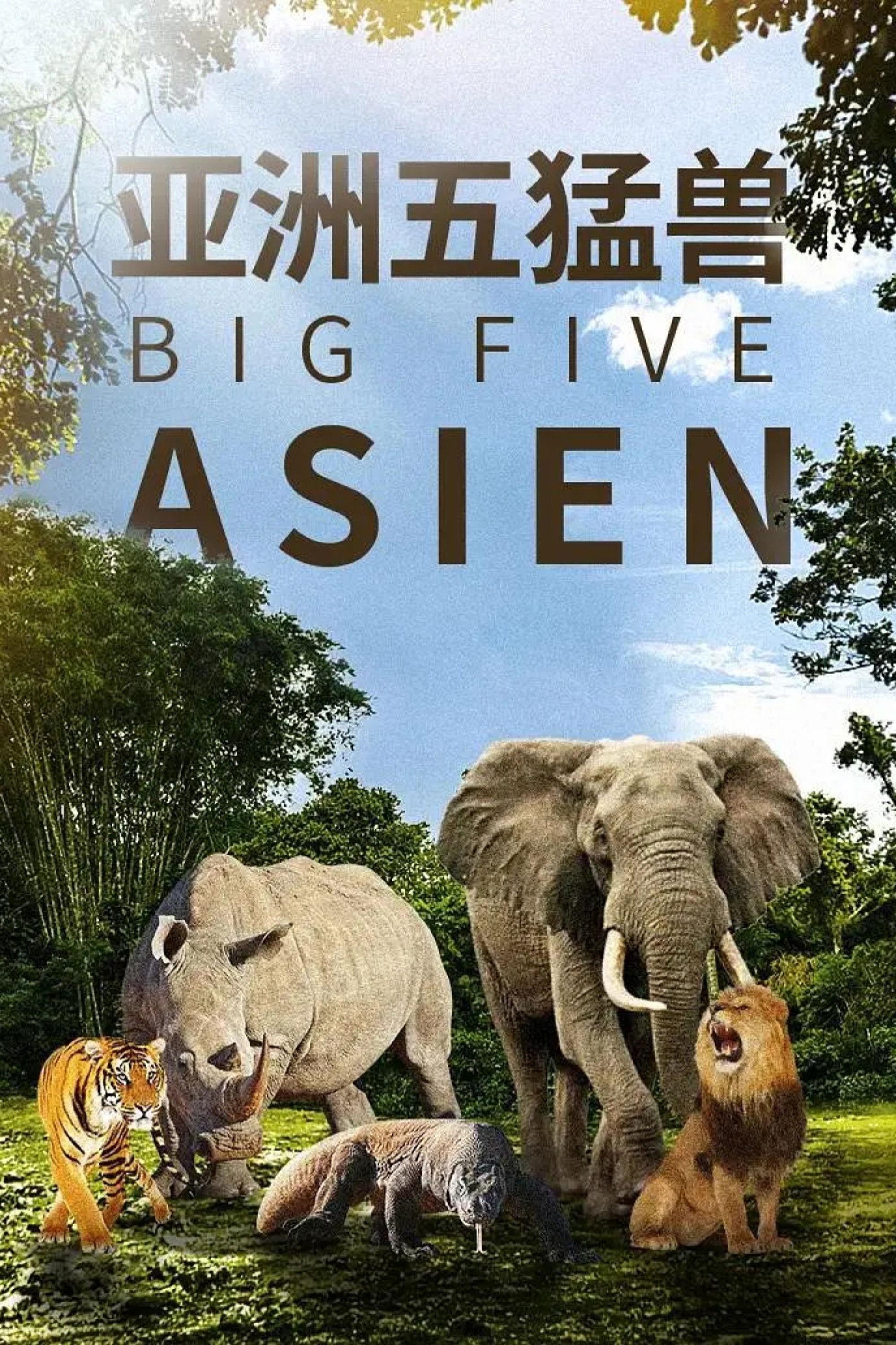 poster tv Big Five Asien