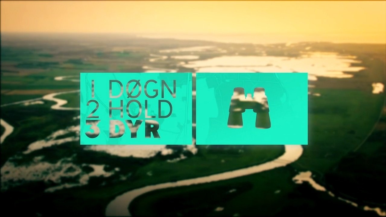1 døgn, 2 hold, 3 dyr