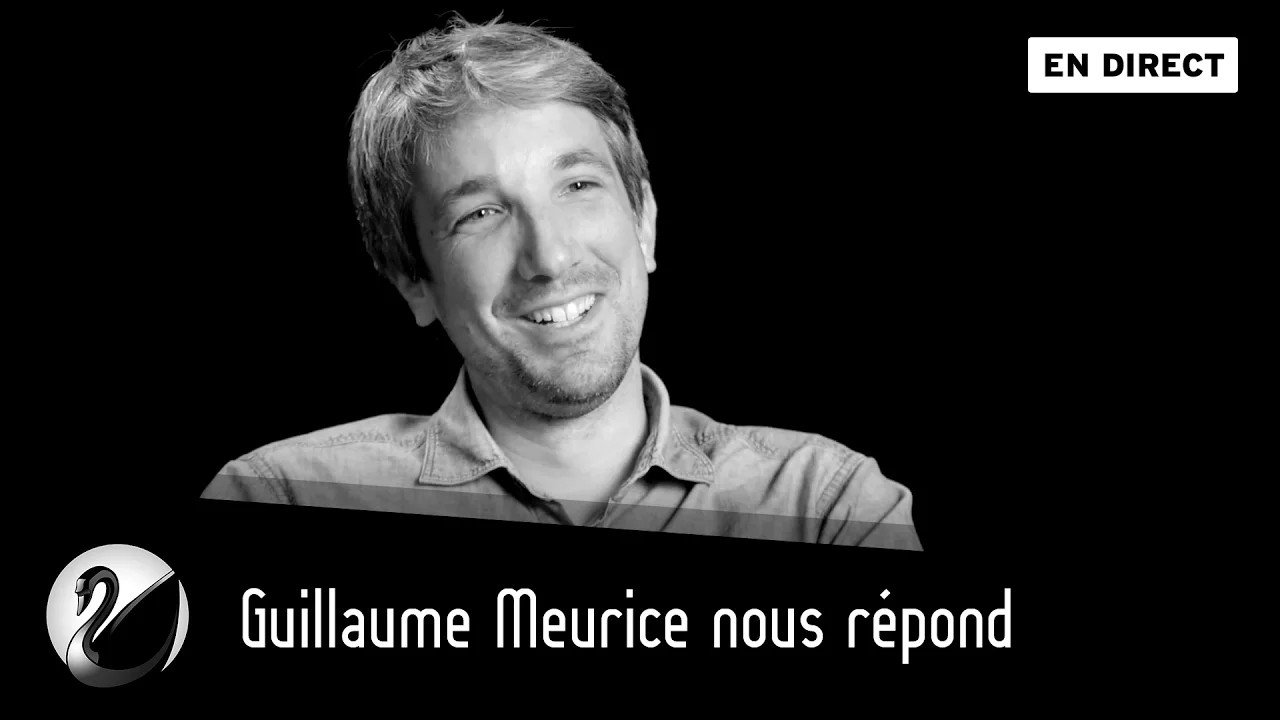 Thinkerview - Guillaume Meurice nous répond