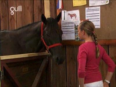 The Saddle Club