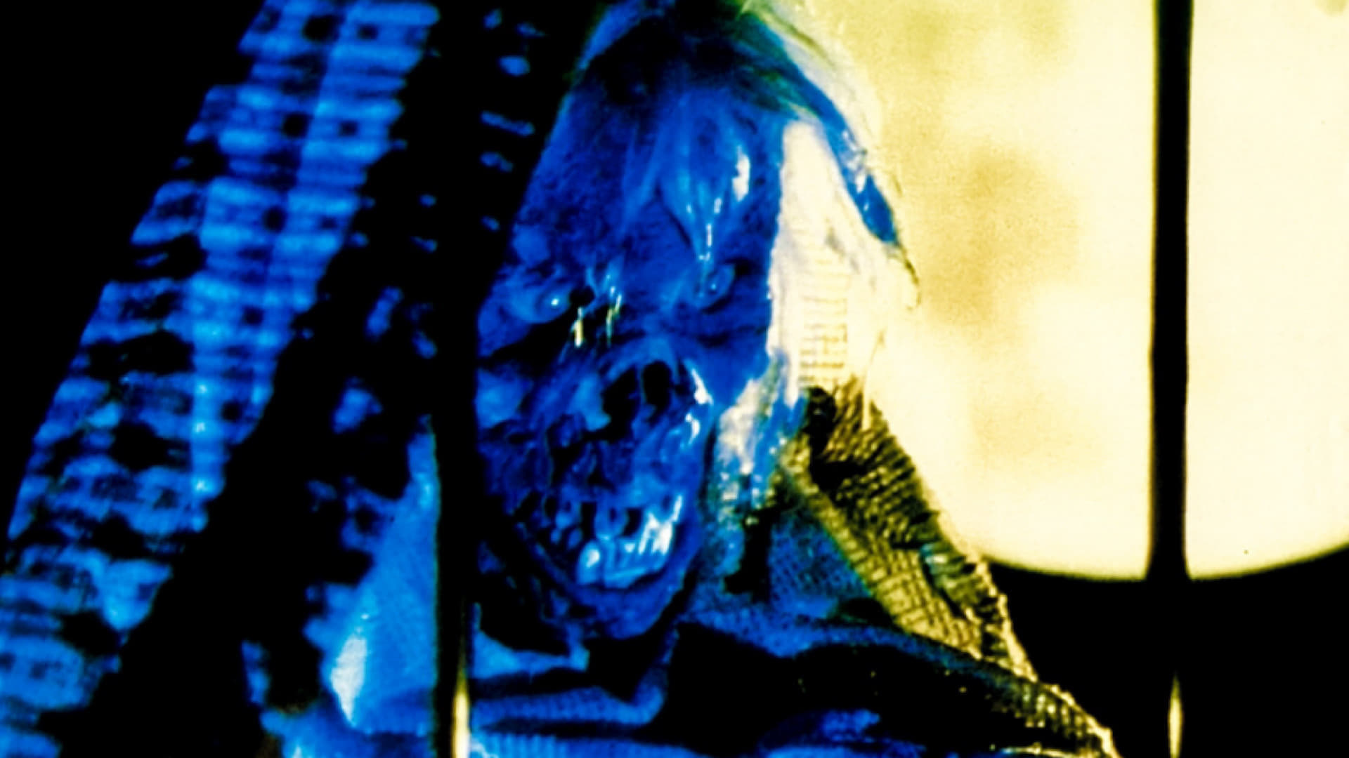 Image du film Creepshow yemmyzjfysml6r3toe2bj4pywtxjpg