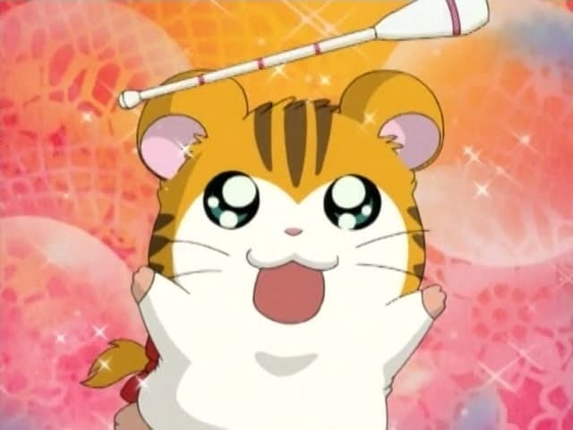 Hamtaro
