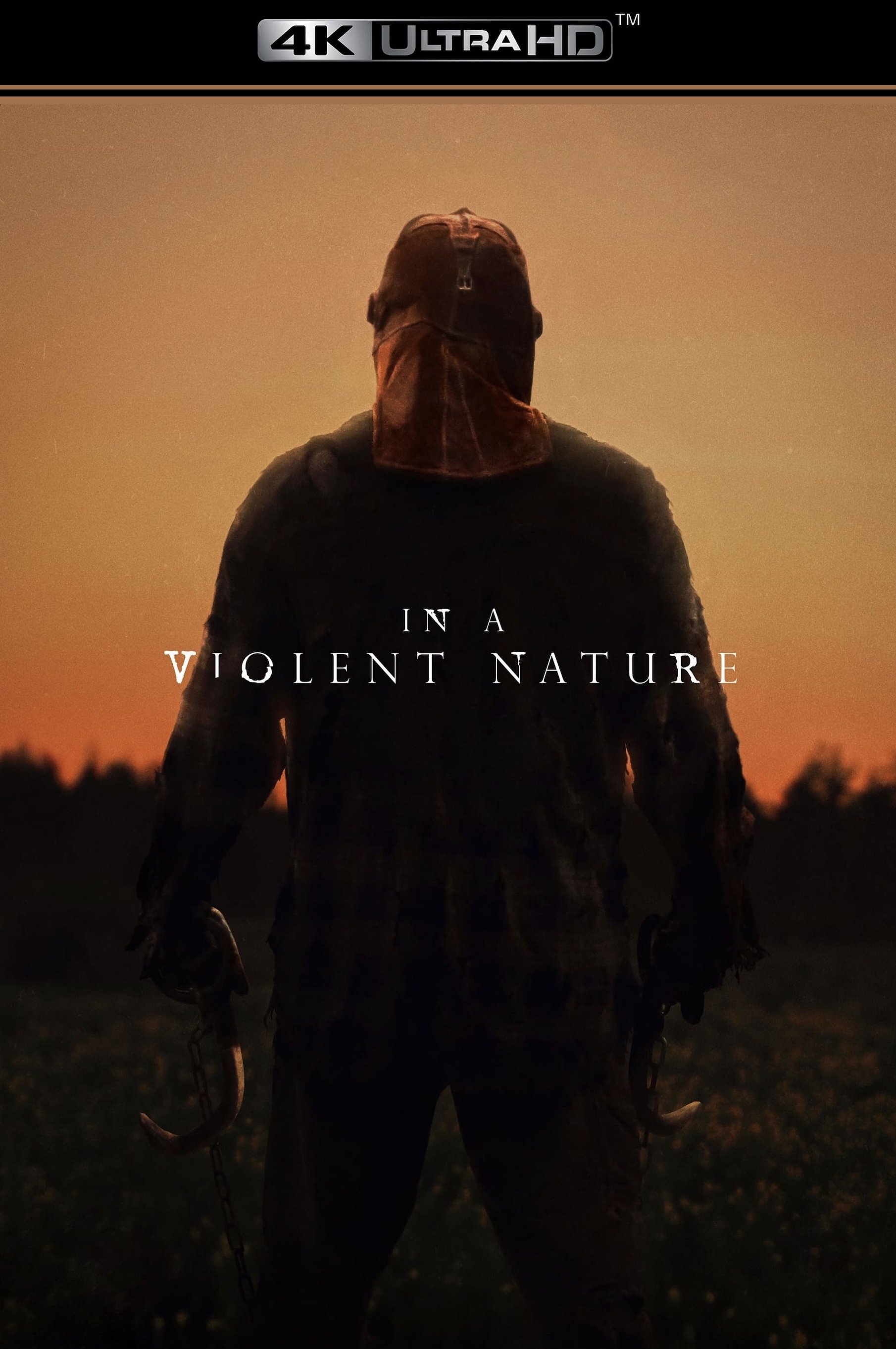 In a Violent Nature