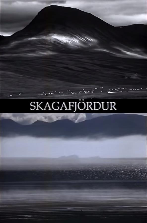 Skagafj&ouml;rdur