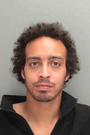 et billede af Shaggy