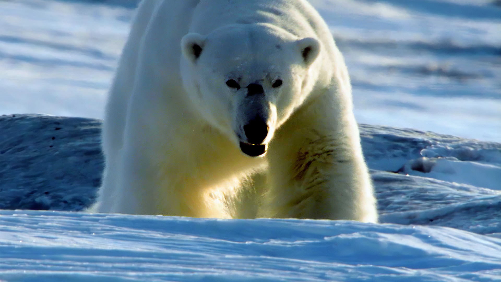 Earth Odyssey with Dylan Dreyer S04E35 backdrop